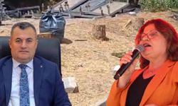 CHP’li Didim Belediyesi’nden ağaç katliamı