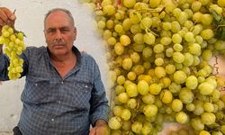 Aydınlı çiftçi isyan etti! “Çiftçi olarak ölüyoruz, yaşayamıyoruz”