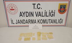 Satmak için getirdi! Jandarma'dan kaçamadı