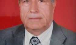 Cumhuriyetle yaşıt Çınar hayatını kaybetti