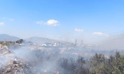 Aydın’da kanal kenarında korkutan yangın