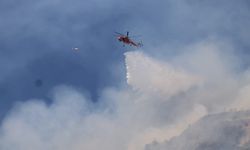 Aydın’da ormana sıçrayan yangınla mücadele sürüyor! Havadan ve karadan müdahale ediliyor