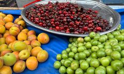 Aydın’da meyve fiyatları cep yakıyor