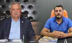 Aydın’da sarı lop incir hasadı için geri sayım başladı
