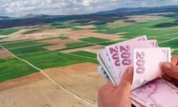 Birikmiş 5 bin, 10 bin TL'si olan yaşadı! Milli Emlak'tan ayakkabı fiyatına arsa satışı