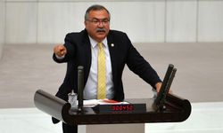CHP’li Bülbül’den zeytinlik katliamına tepki: “Zeytinlikler, birkaç şirketin kar hırsına kurban edilemez”