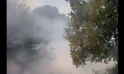 Aydın'da yangınların ardı arkası kesilmiyor! Bir yangın da Söke'de