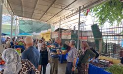 İncirliova’da fiyatlar düştü: Pazara ilgi arttı