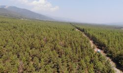 Karacasu’da orman yangınına karşı 24 saat denetim