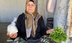 Koçarlı’da azmin adı: 64 yaşındaki kadın geçim için direniyor