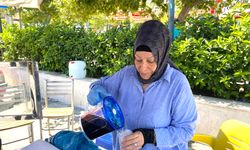 Koçarlı’da serin havaların adresi