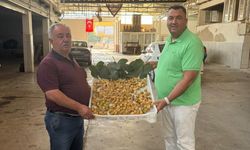 Nazilli’de sezonun ilk kuru inciri satıldı