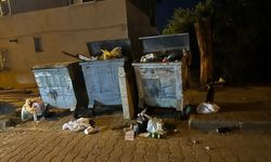 Sultanhisar çöpten geçilmiyor! Başkan Selçuk: “Memleketi kaderine terk ettiniz”