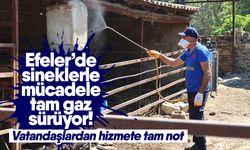 Efeler’de sineklerle mücadele tam gaz sürüyor! Vatandaşlardan hizmete tam not