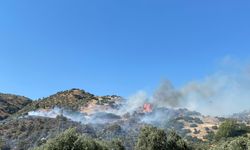 Aydın’da zirai alandaki yangına müdahale sürüyor