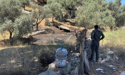 Yol kenarına bırakılan su bidonları faciayı önledi