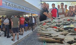 Balıklar mezata çıktı! Didim’de ilk kez düzenlendi
