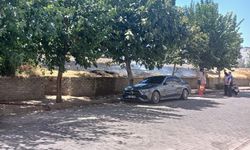 Aydın’da tren yolu kenarında yangın paniği! Park halindeki araçlar korkuttu
