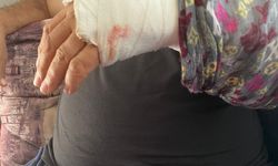 Kantar ücretine sinirlendi: Silahla görevliyi yaraladı