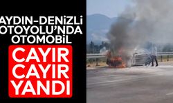 Aydın-Denizli Otoyolu’nda otomobil cayır cayır yandı
