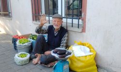 Aydın’da 95 yaşındaki çınar çalışmaktan hala vazgeçmedi
