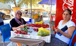 Aydın'da kış hazırlığı sürüyor