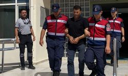 Aydın’da kestane bahçesine kenevir ekti! Zehir taciri yakalandı