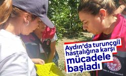 Aydın’da turunçgil hastalığına karşı mücadele başladı