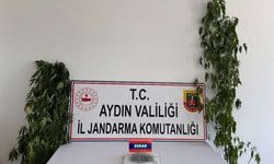 Aydın’da uyuşturucu operasyonu! 13 kişi yakalandı