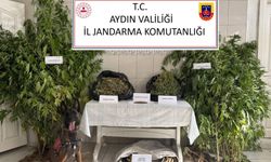 Aydın’da uyuşturucuya geçit yok! 12 şüpheli yakalandı