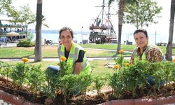 Başkan Çerçioğlu’ndan Didim’de çevre ve peyzaj düzenlemesi