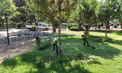 Başkan Özlem Çerçioğlu’ndan Nazilli’ye yeşil dokunuş