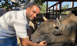 Germencik’in yörük köyünde 85 yıllık gelenek yaşatılıyor