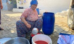 Germencik’te kendi salçasını kendisi yapıyor