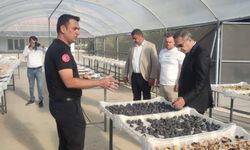 Müdür Temiz’den İncir Araştırma Enstitüsü’ne ziyaret
