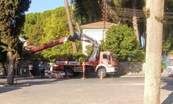 Nazilli’nin bir mahallesi elektrik ve susuz kaldı