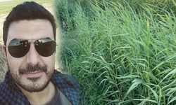 Sazlıkta kan donduran vahşet! Efsane belediye başkanının oğlu boğazı ve bilekleri kesik halde ölü bulundu