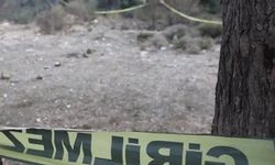 Zeytinlik alanda acı ölüm! Kara haberi alan aile yıkıldı