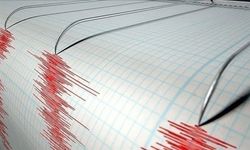 6.1'lik sarsıntı öncesi esrarengiz olay! Depremin olacağını haber verdi