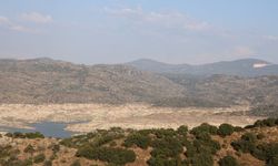 Aydın’ın can damarı tehlikede: Tarihin en kötü tablosu!