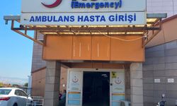 Ağaç keserken makine kaydı, boynunu kesti! 5 çocuk babası adamın feci ölümü