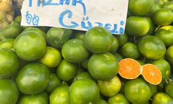 Aydın pazarında mandalina tezgahlardaki yerini aldı