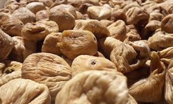 Aydın'da incir üreticisine 200 bin liralık vurgun