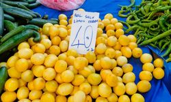 Aydın’da yeni hasat limon fiyatlarını düşürdü