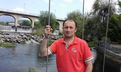 Aydınlı emekli polis memuru amansız hastalığa yenildi