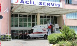 Aydın’da korkunç kaza! Otomobil sulama kanalına çarptı: 1 ölü