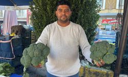 Aydın'da özlenen kış sebzesi tezgahlarda yerini aldı