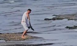 Aydın'da sosyal medyayı sallayan görüntü