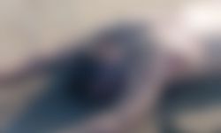 Çıplak erkek cesedi dehşete düşürdü! Güpegündüz sır dolu ölüm