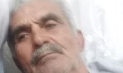 Arkasından aniden gelip dehşeti yaşattı! Yaşlı adam feci şekilde can verdi